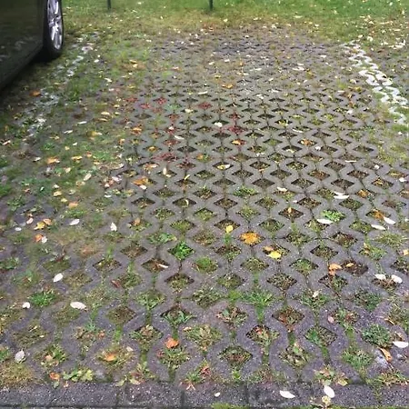 Lägenhet Ferienwohnung Im Schwarzwald